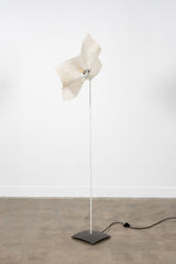1970s Area Floor Lamp