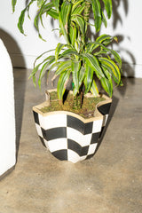 Black + White Checker Planter