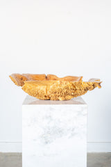Burl Wood Spike Bowl