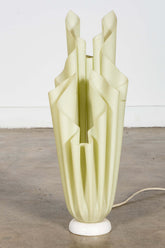 Athena' Lamp, tall