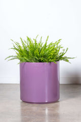 1980s Gainey California Planter, Purple