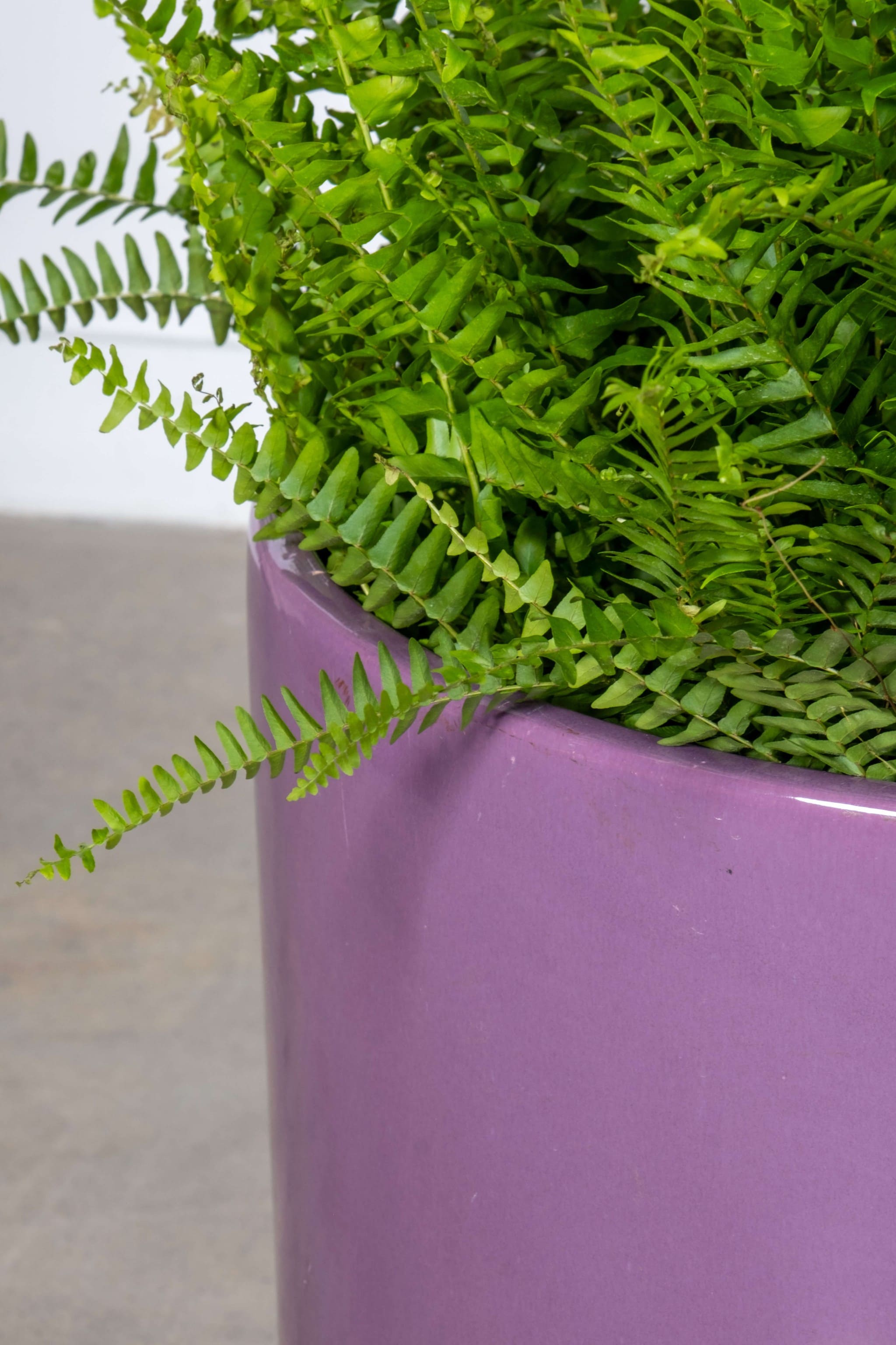 1980s Gainey California Planter, Purple