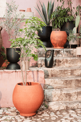 Ando Pot - M - Terracotta