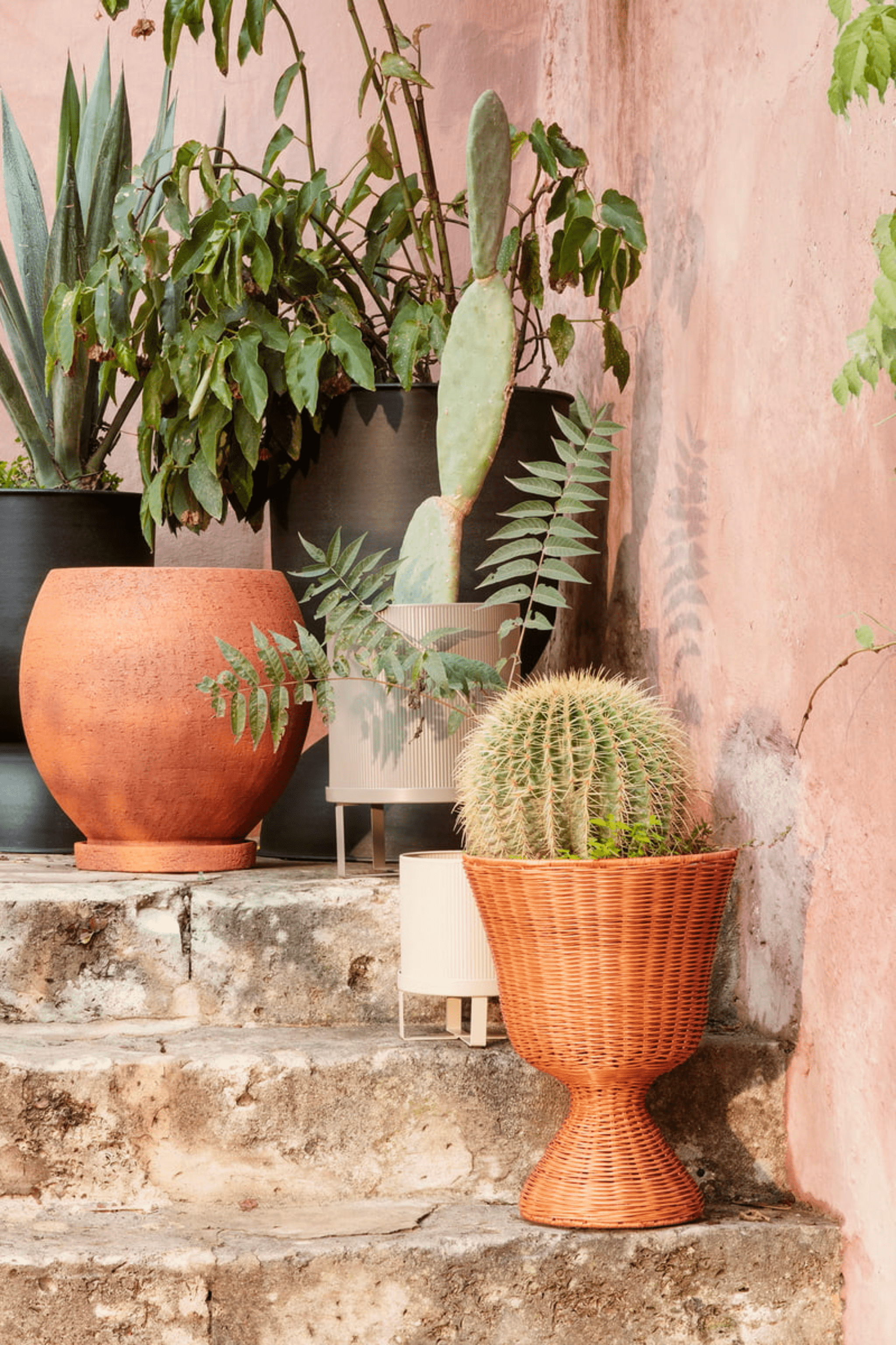 Agnes Plant Stand - Low - Natural