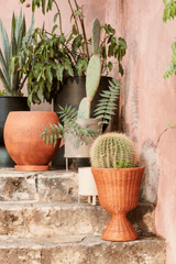 Agnes Plant Stand - Low - Natural