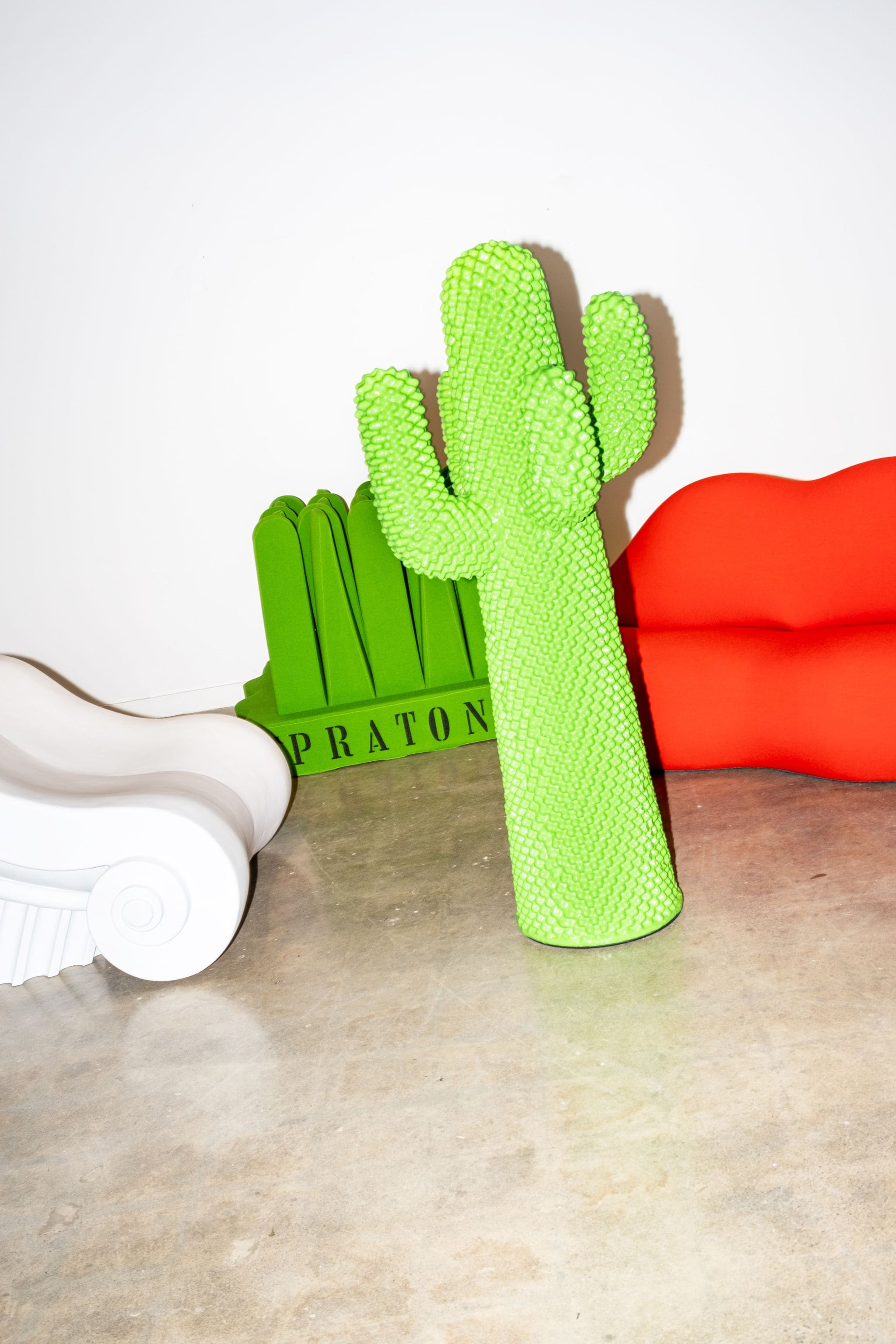 Another Green Cactus®