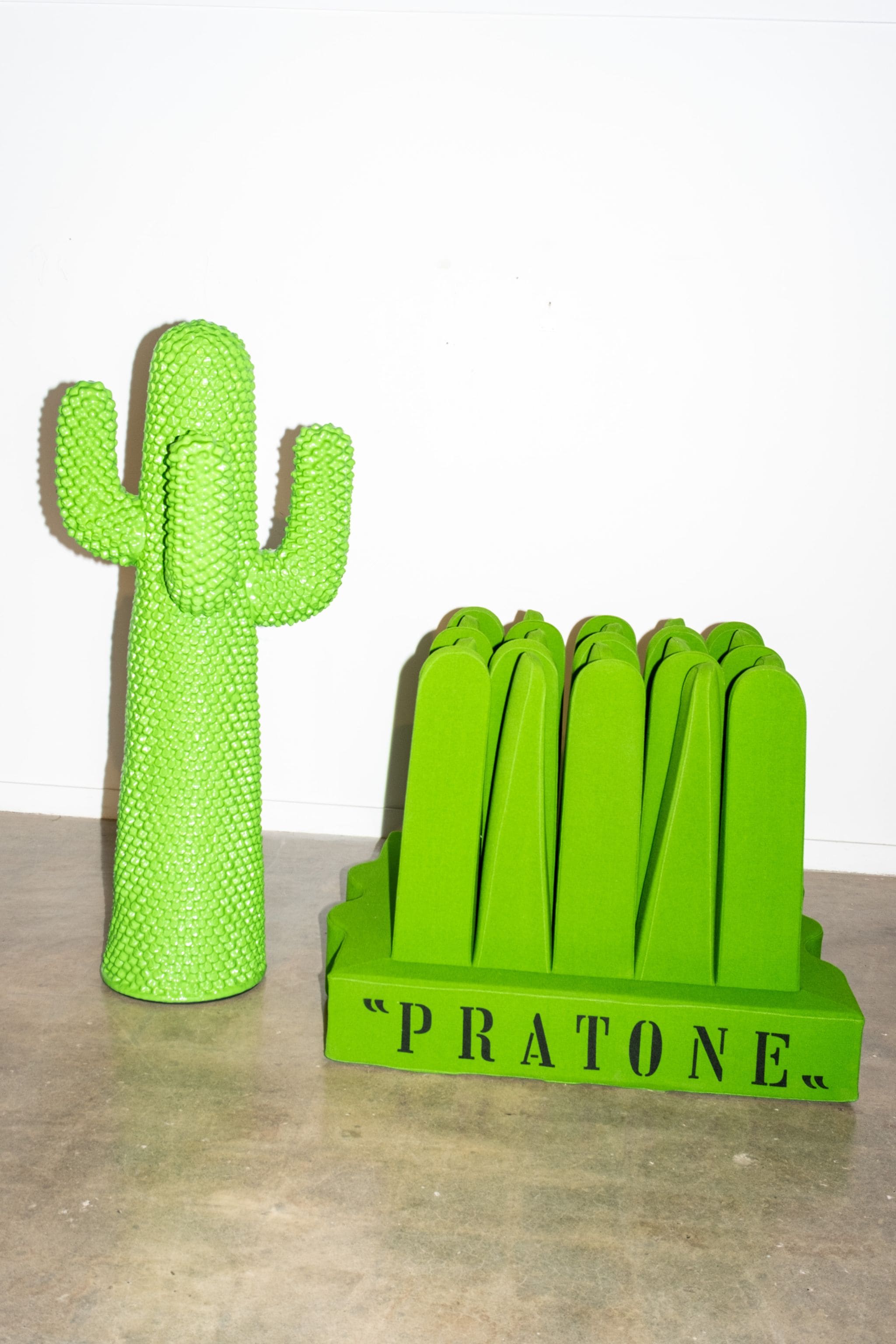 Another Green Cactus®