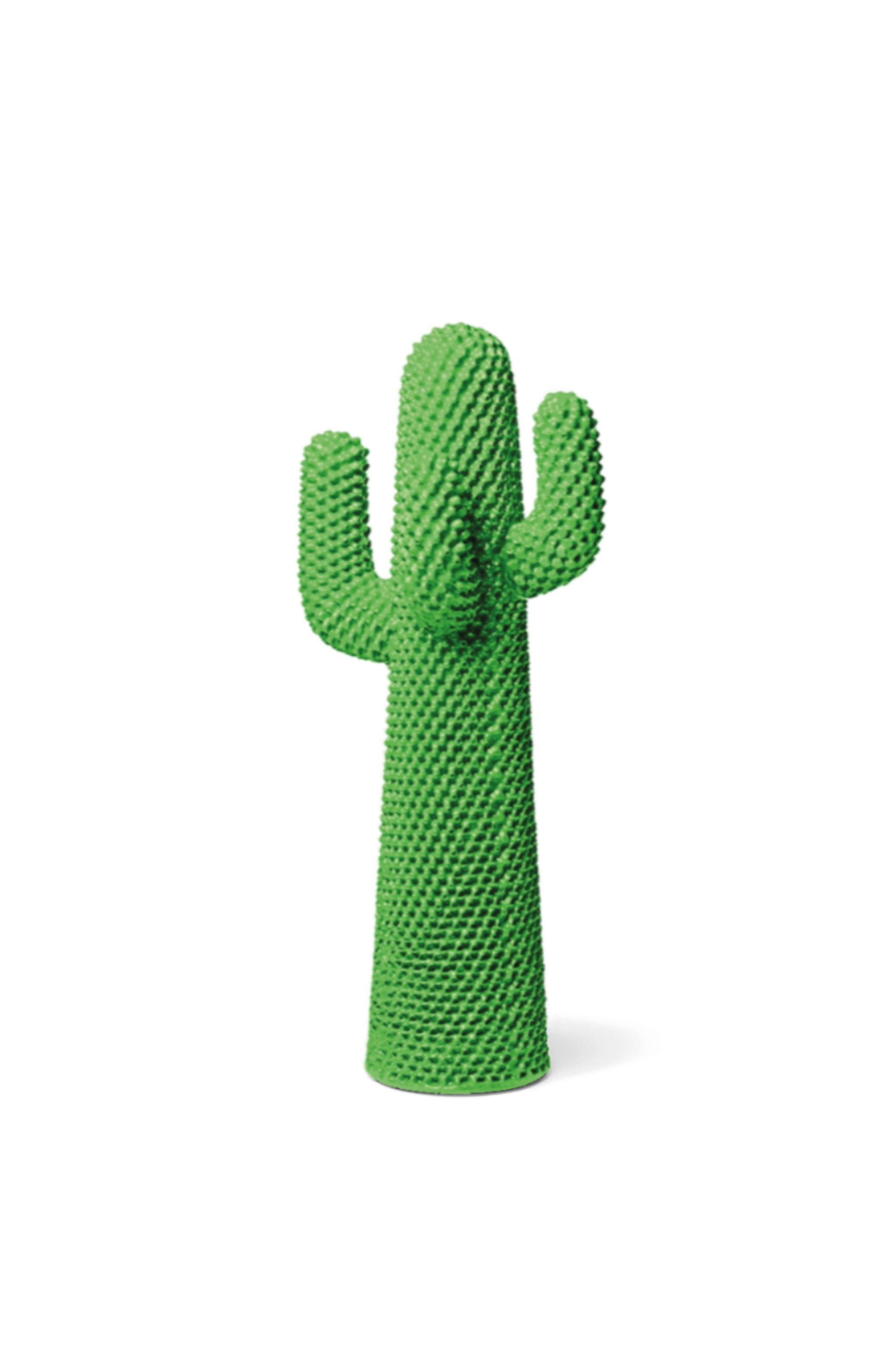 Another Green Cactus®