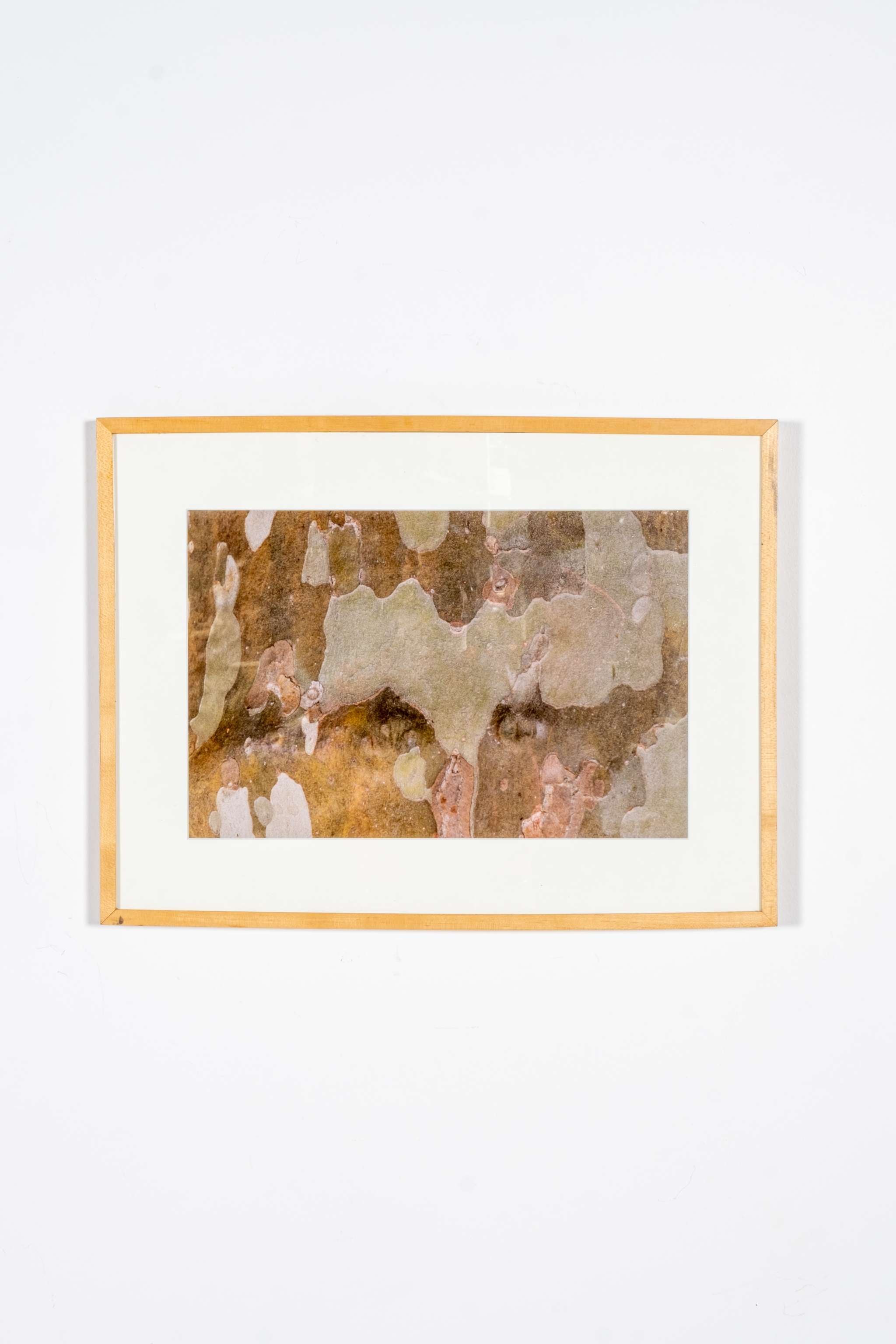 "Bark of Plane Tree I, Provence, France" (1994)
