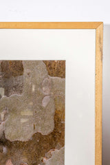 "Bark of Plane Tree I, Provence, France" (1994)