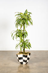 Black + White Checker Planter