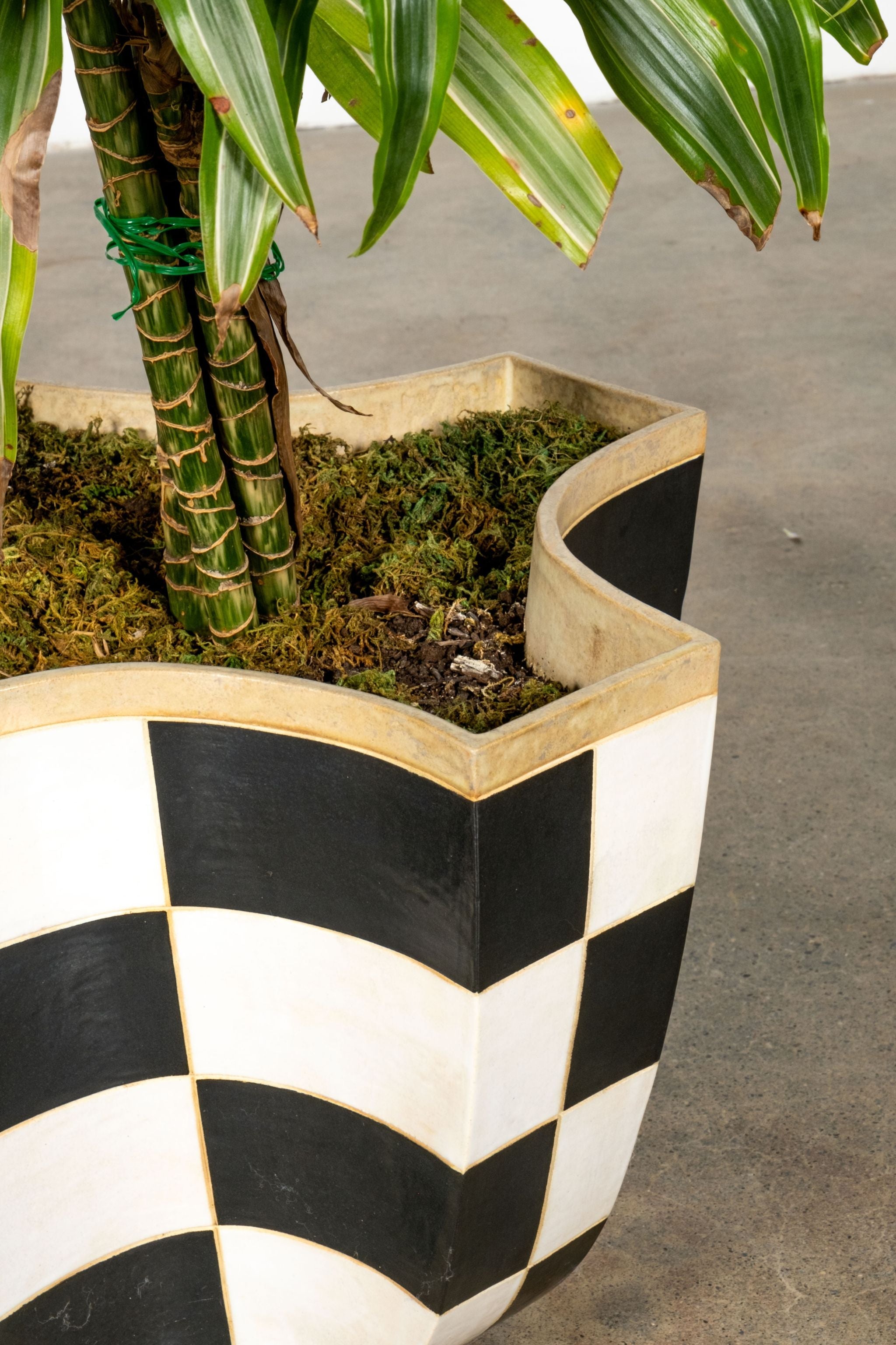 Black + White Checker Planter
