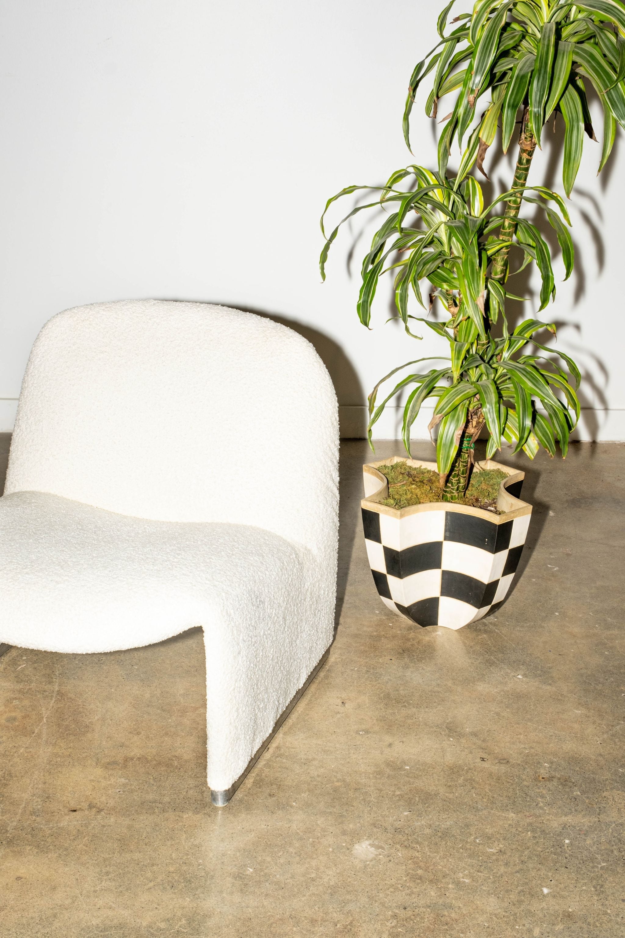 Black + White Checker Planter