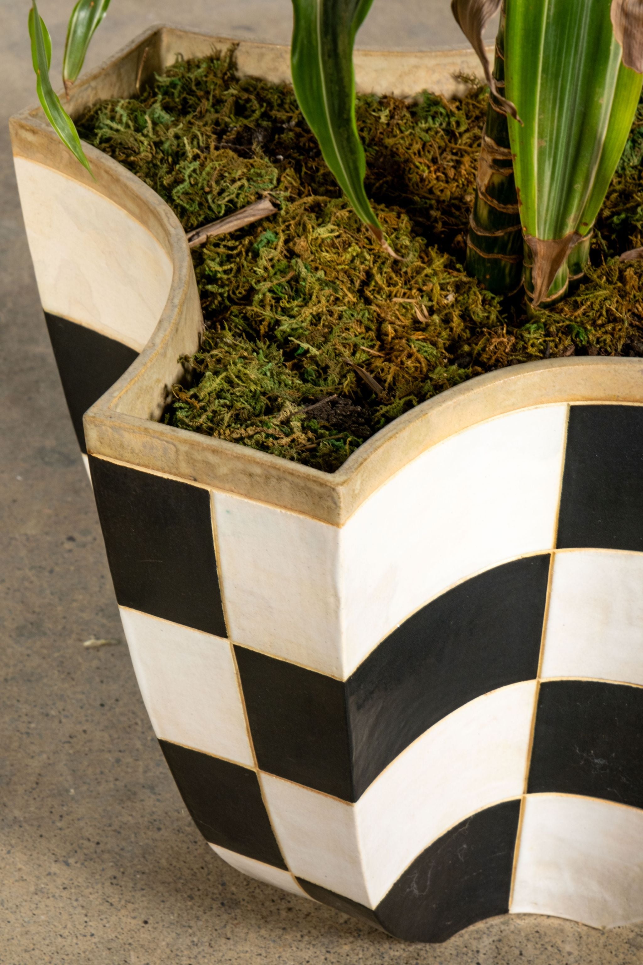 Black + White Checker Planter