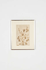 Branch Sketch, Framed