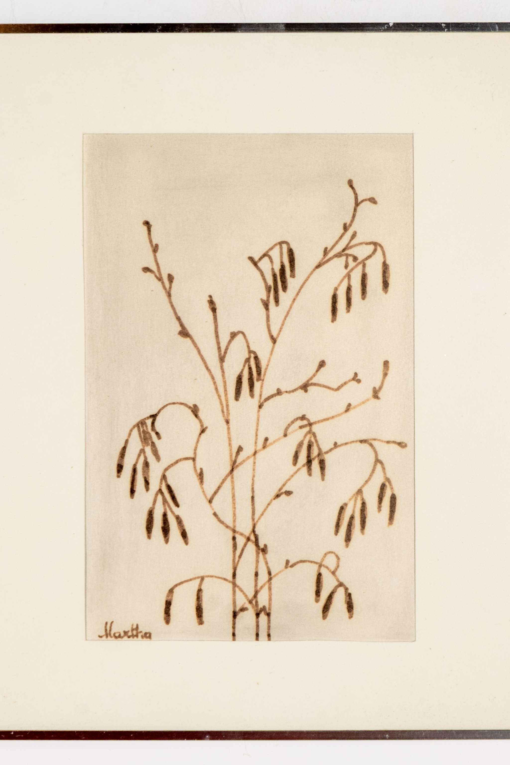 Branch Sketch, Framed