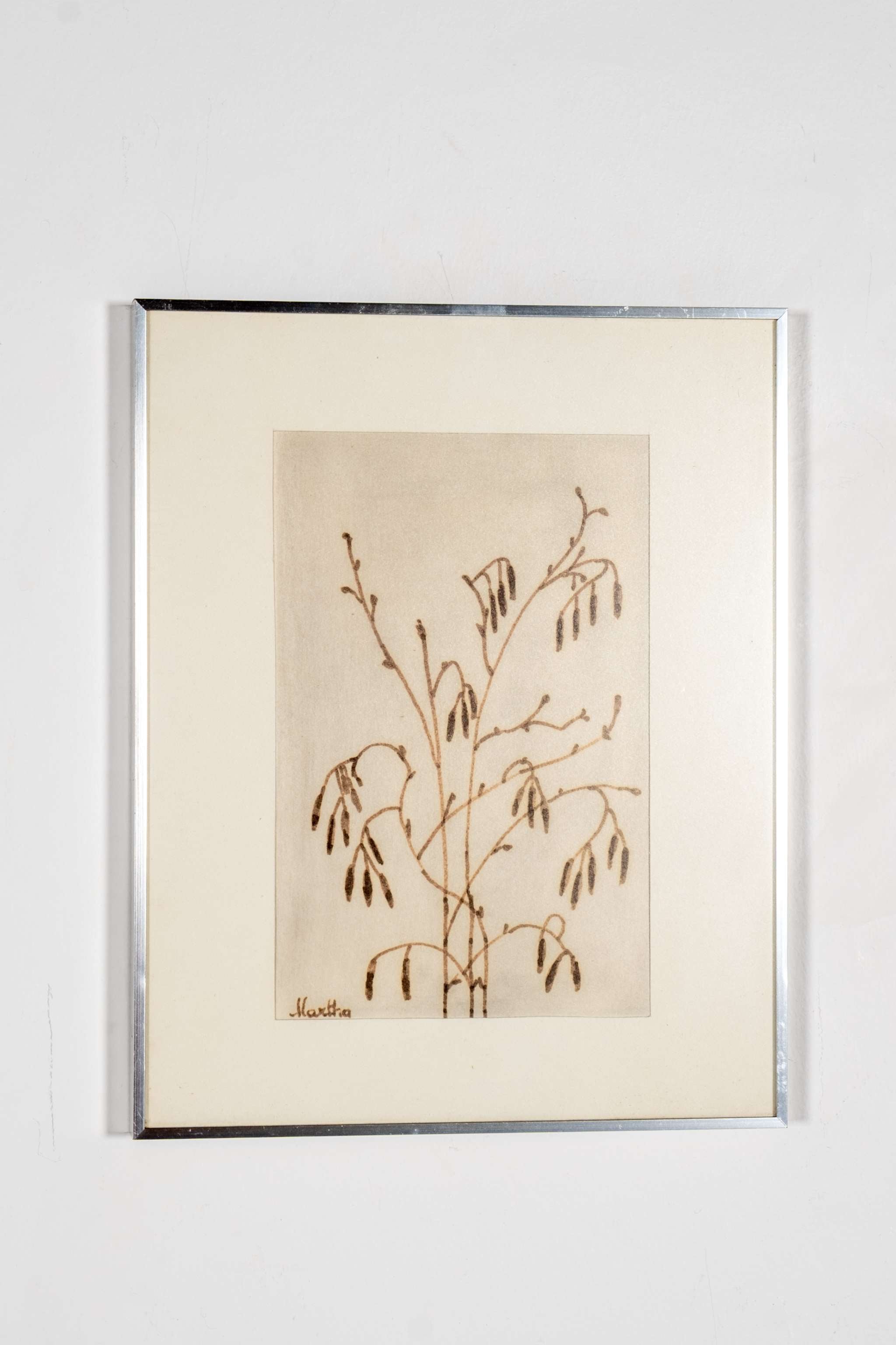 Branch Sketch, Framed