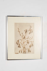 Branch Sketch, Framed