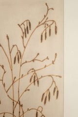 Branch Sketch, Framed