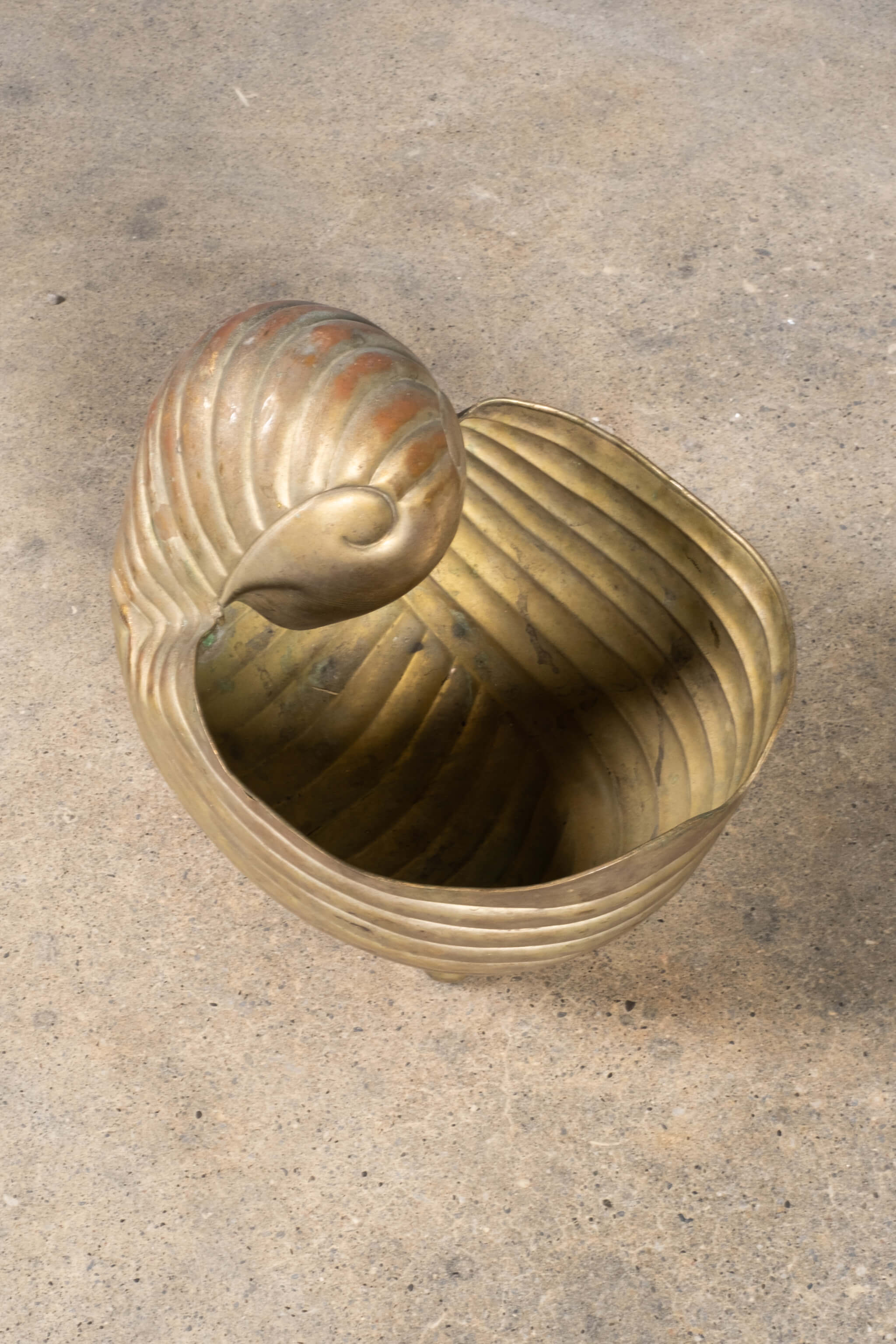 Brass Snail Shell Champagne Bucket