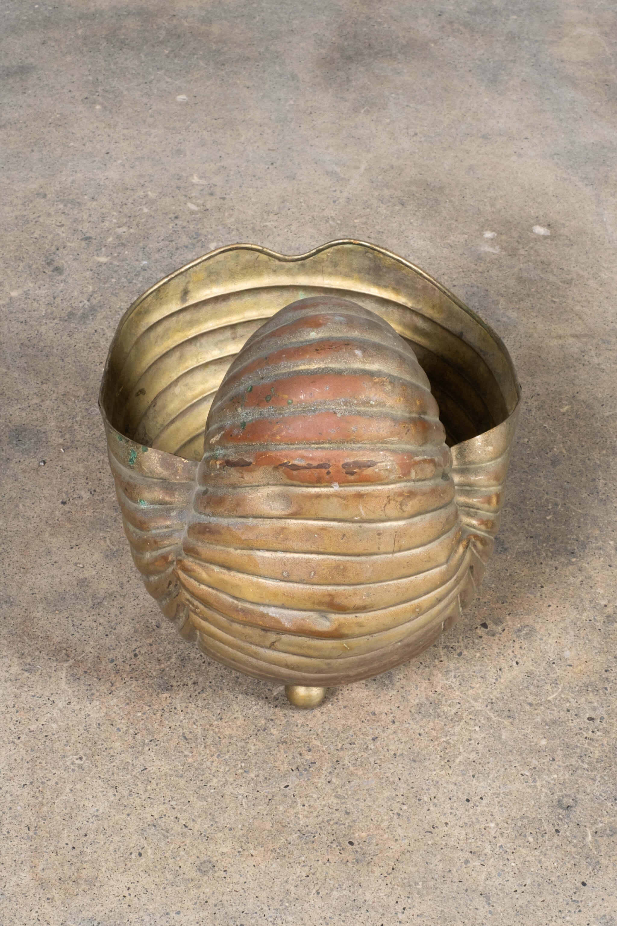 Brass Snail Shell Champagne Bucket