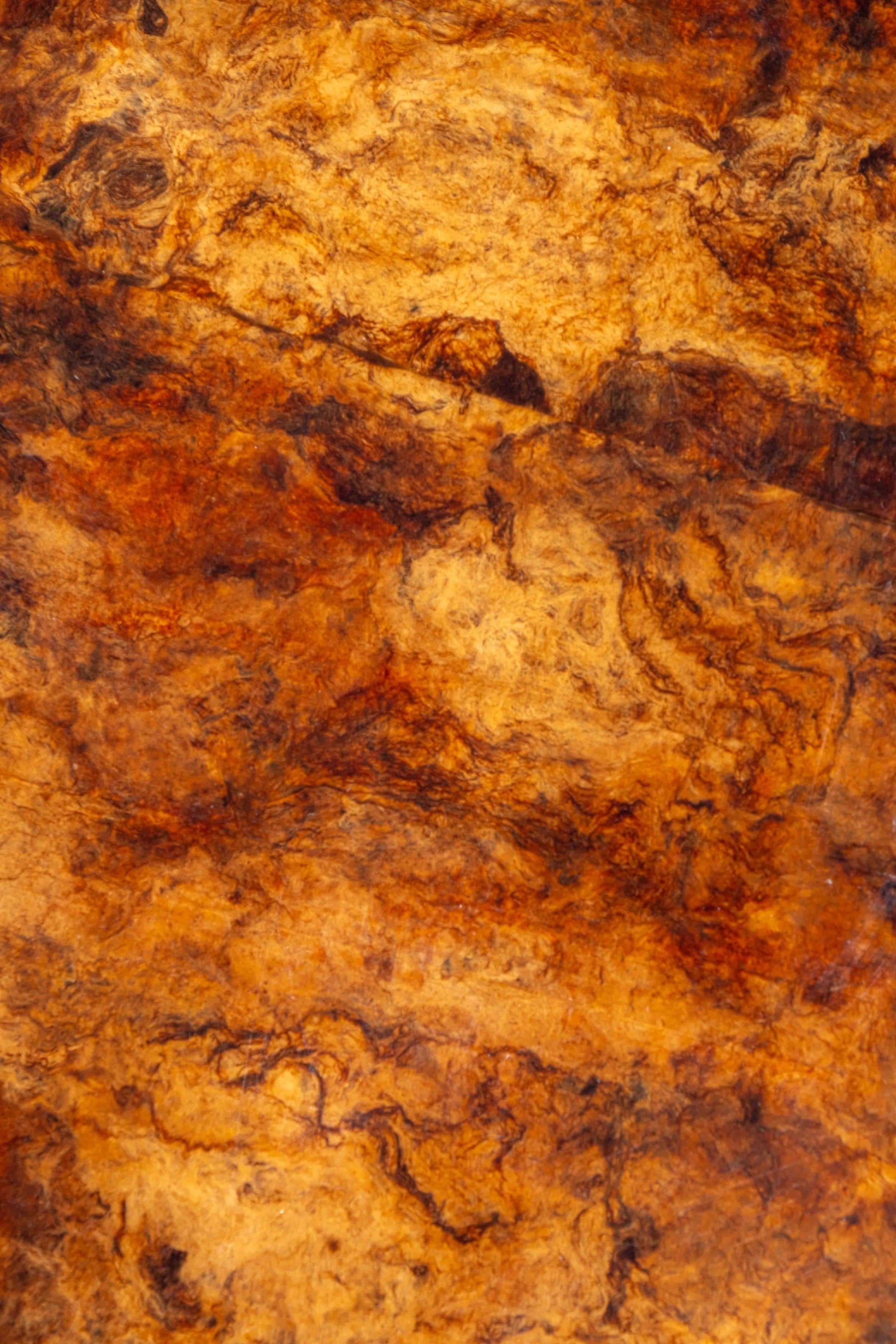 Burl Wood Coffee Table in the style of Aldo Tura
