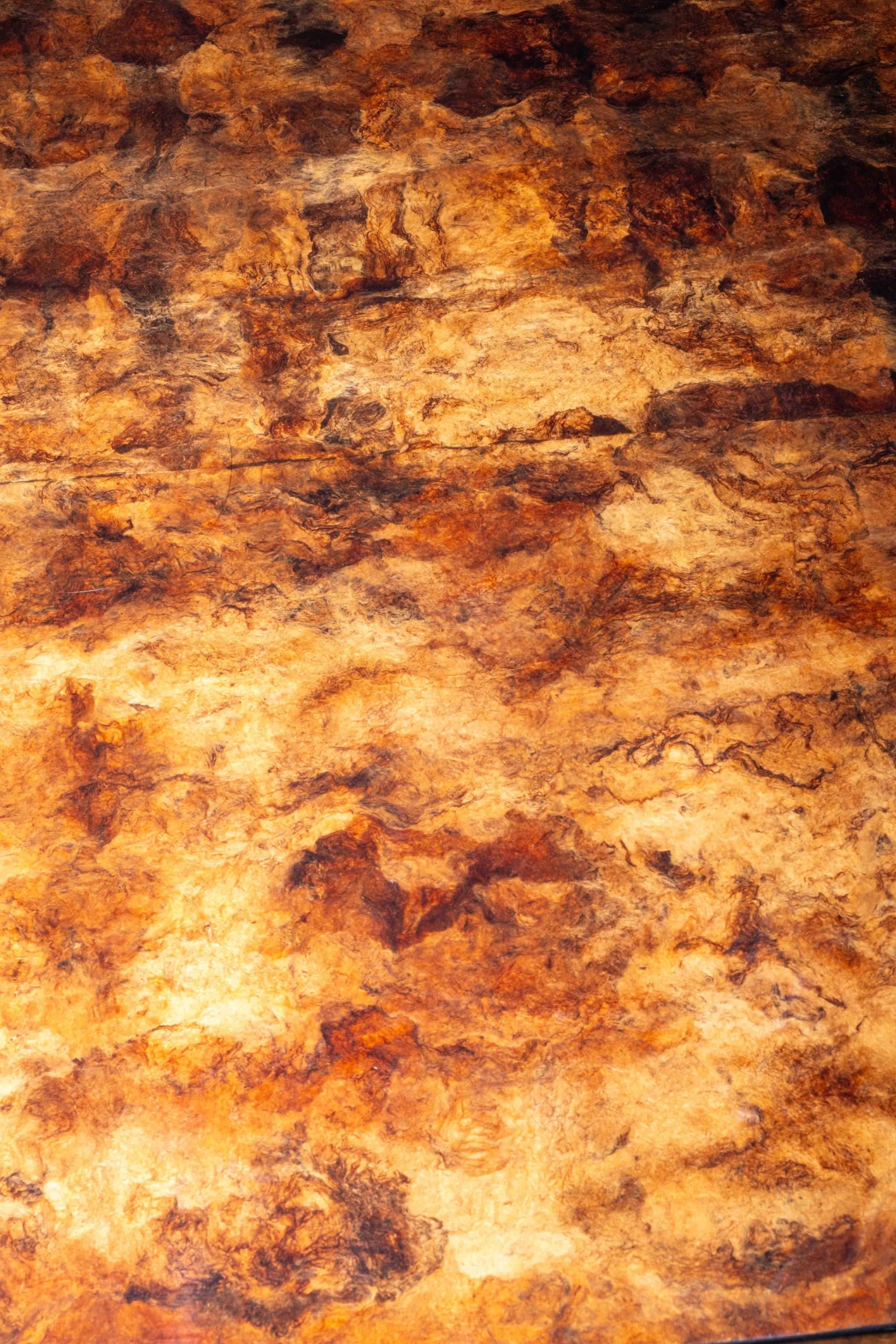 Burl Wood Coffee Table in the style of Aldo Tura