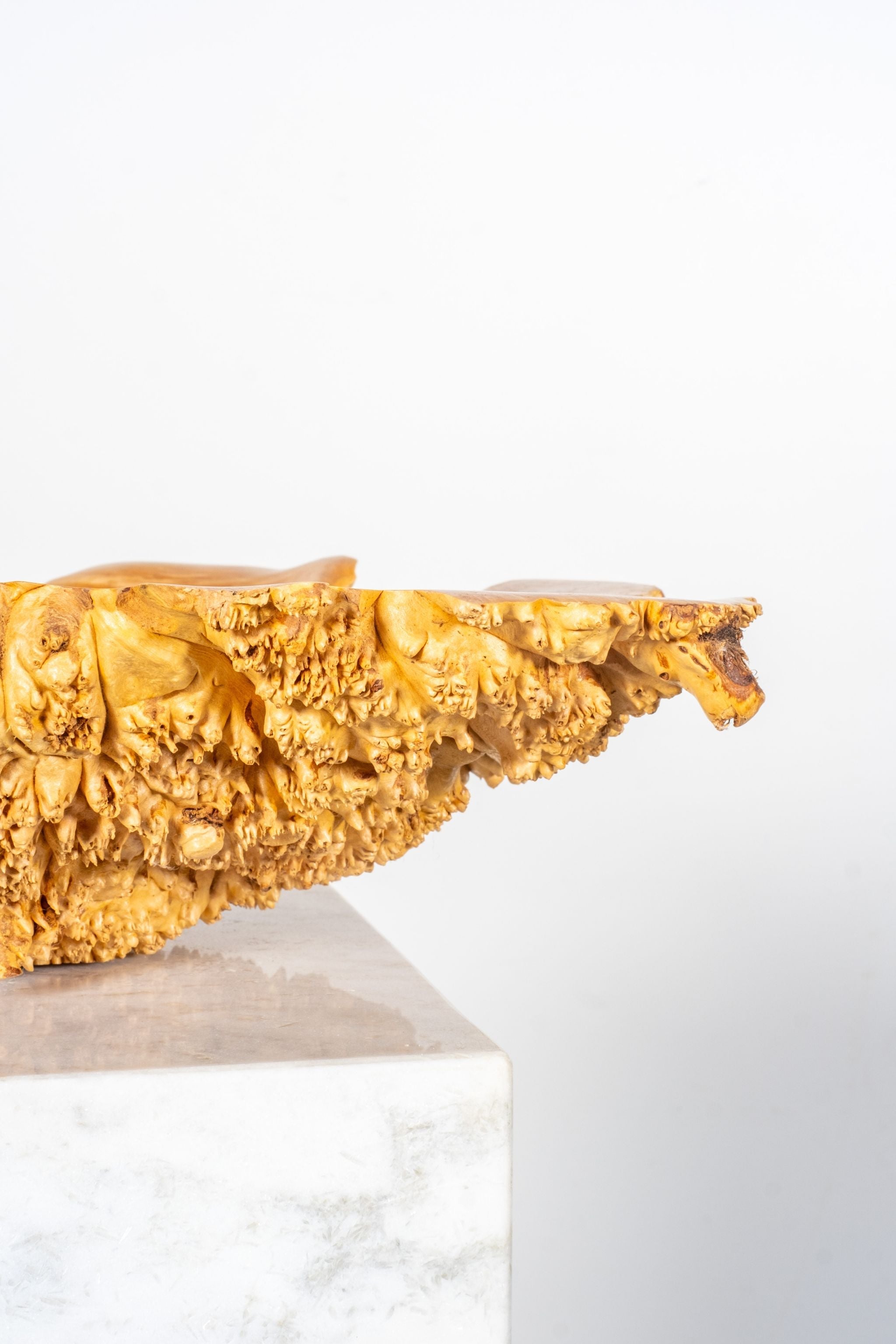 Burl Wood Spike Bowl