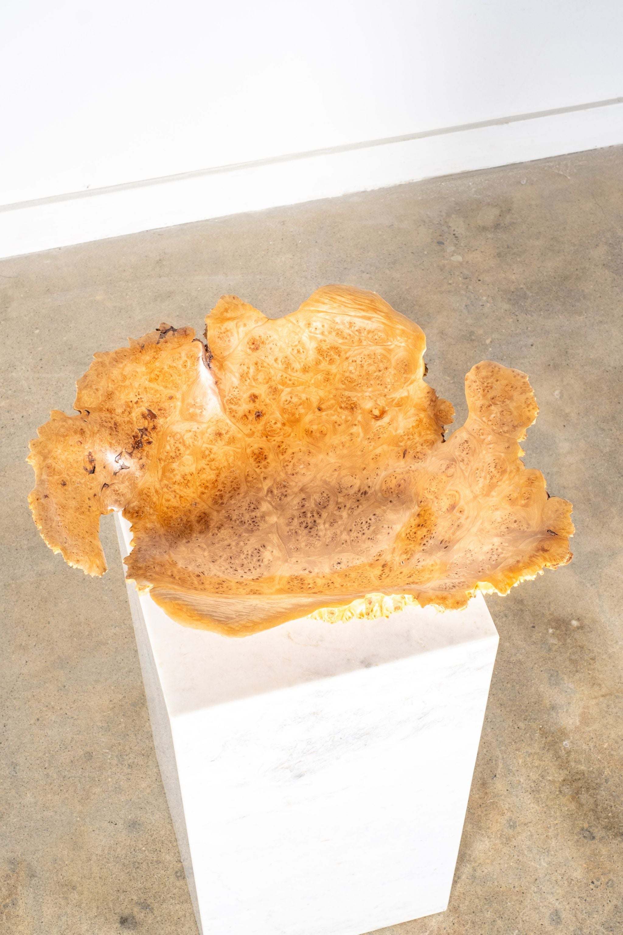 Burl Wood Spike Bowl