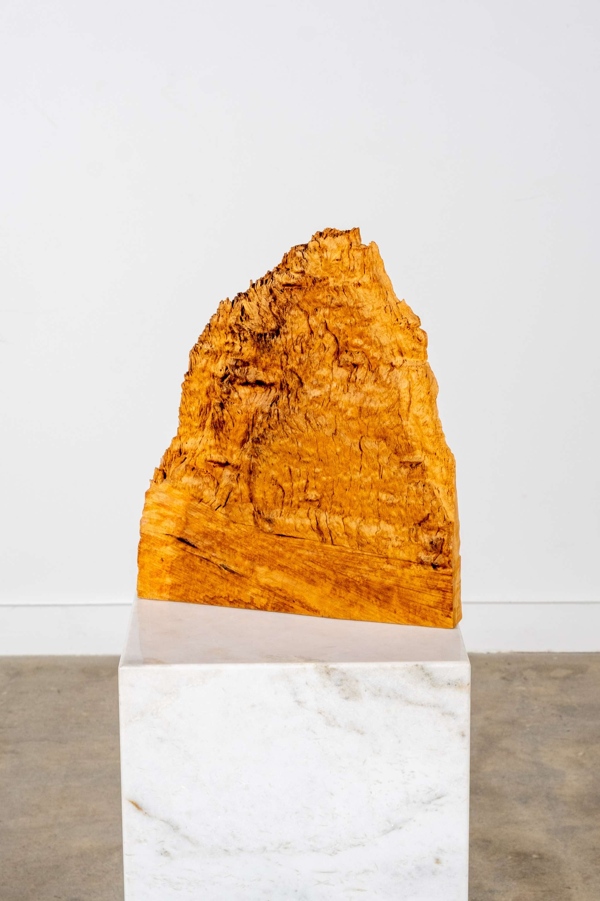 Burl Wood Sculpture