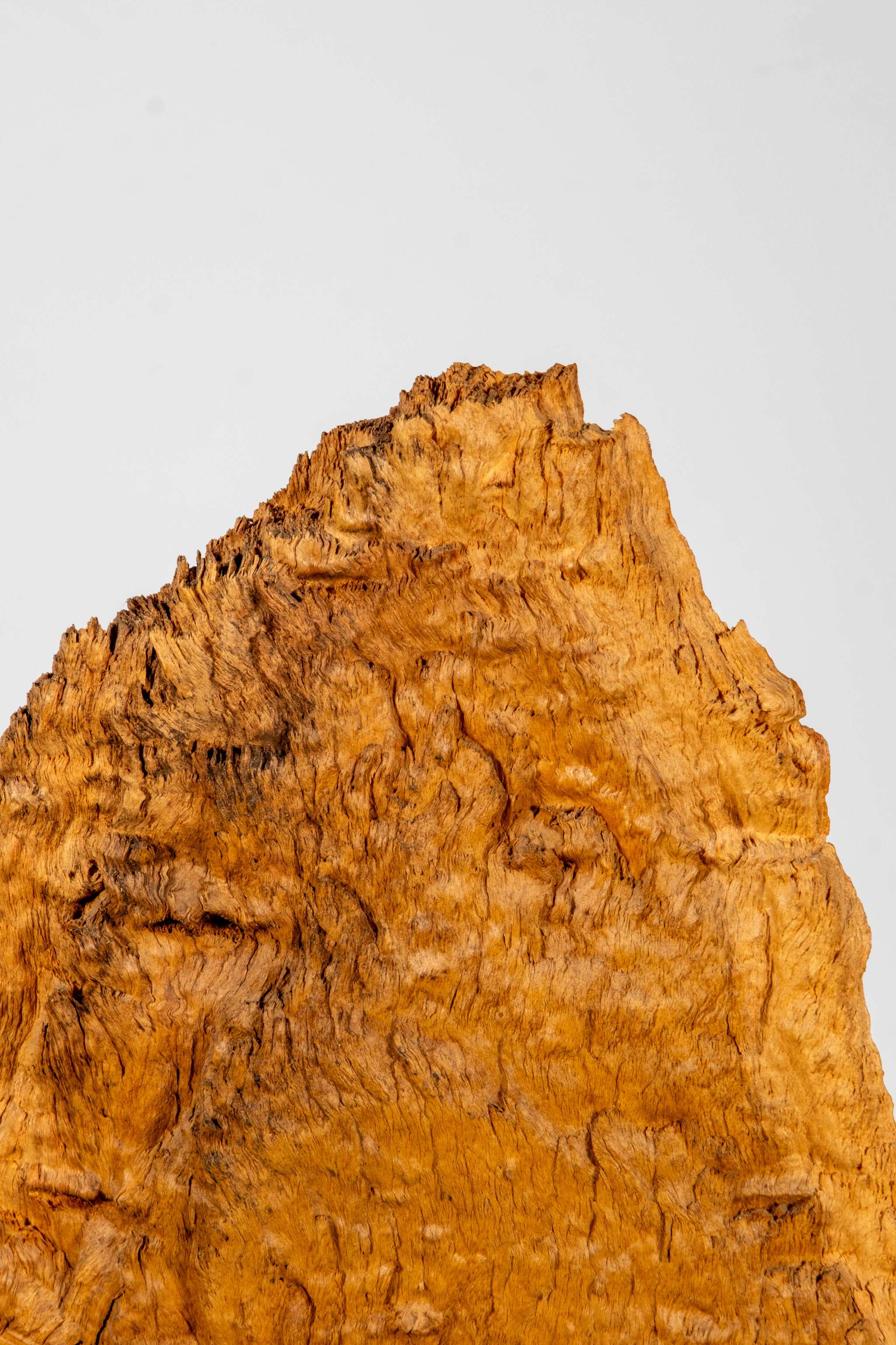 Burl Wood Sculpture