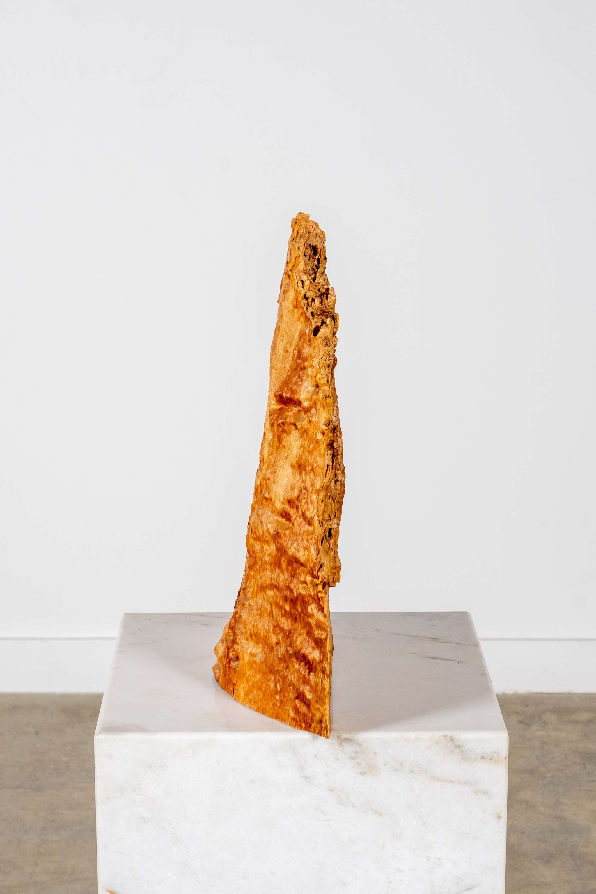 Burl Wood Sculpture