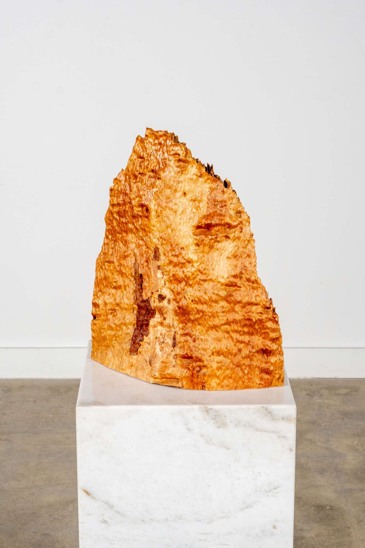 Burl Wood Sculpture