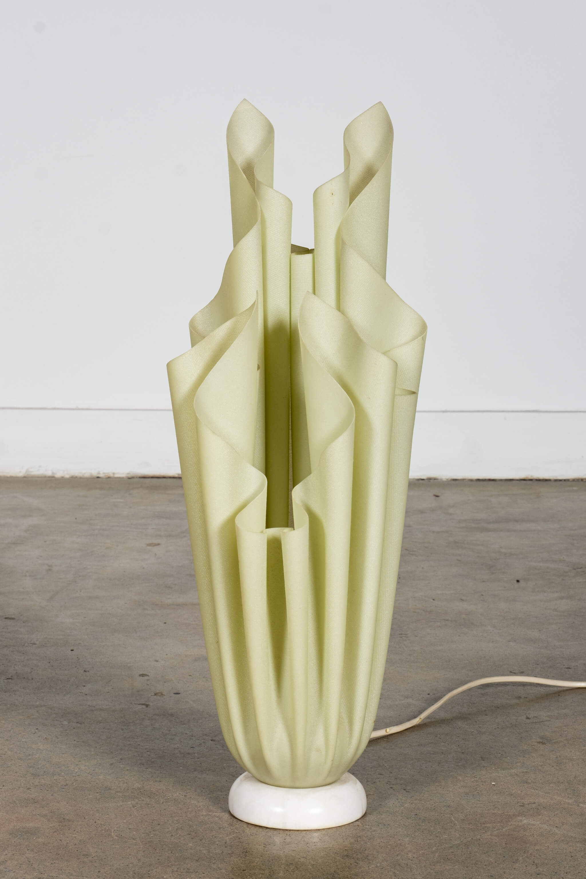 Athena' Lamp, tall