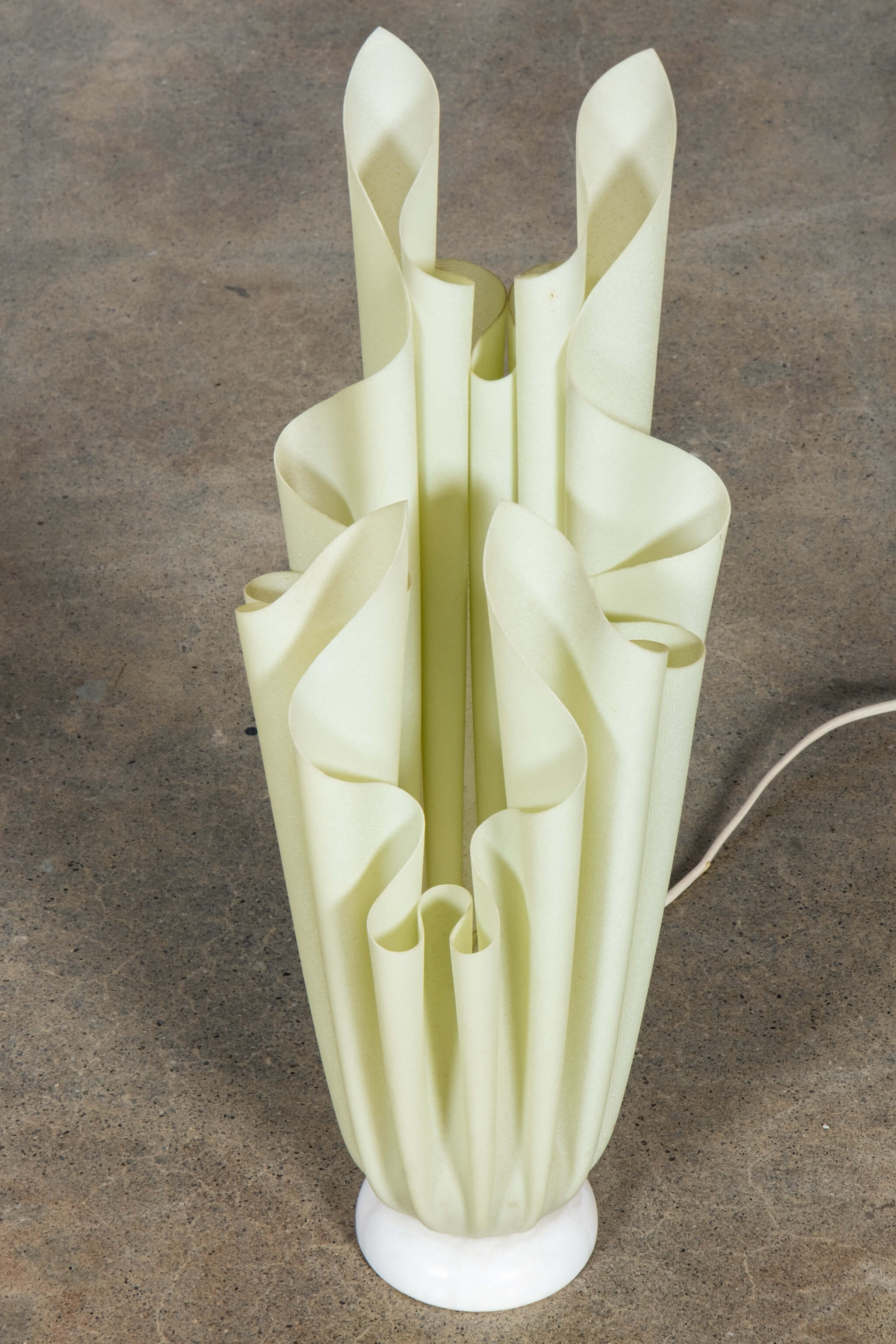 Athena' Lamp, tall