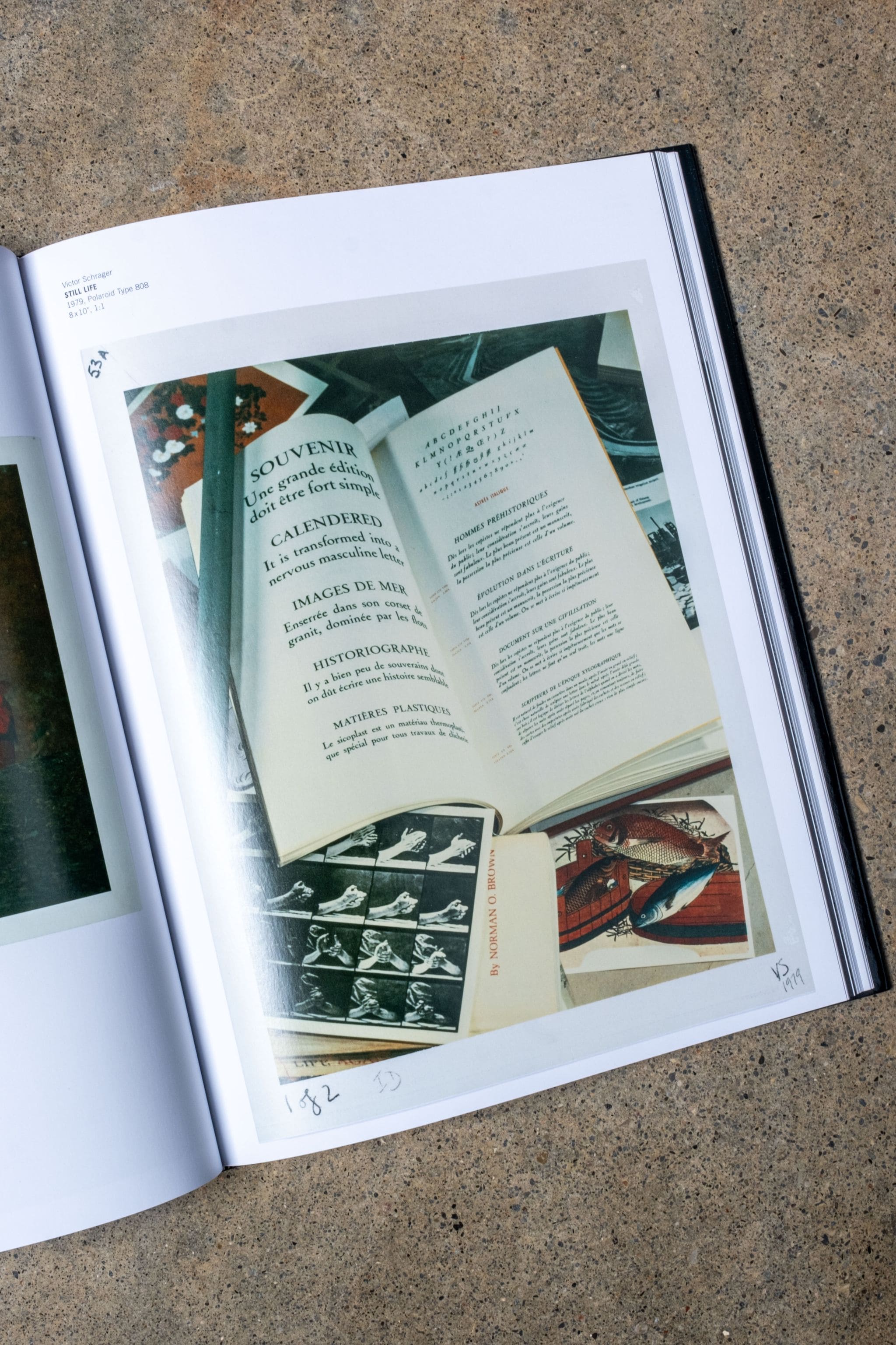 Andy Warhol, From Polaroid to Impossible