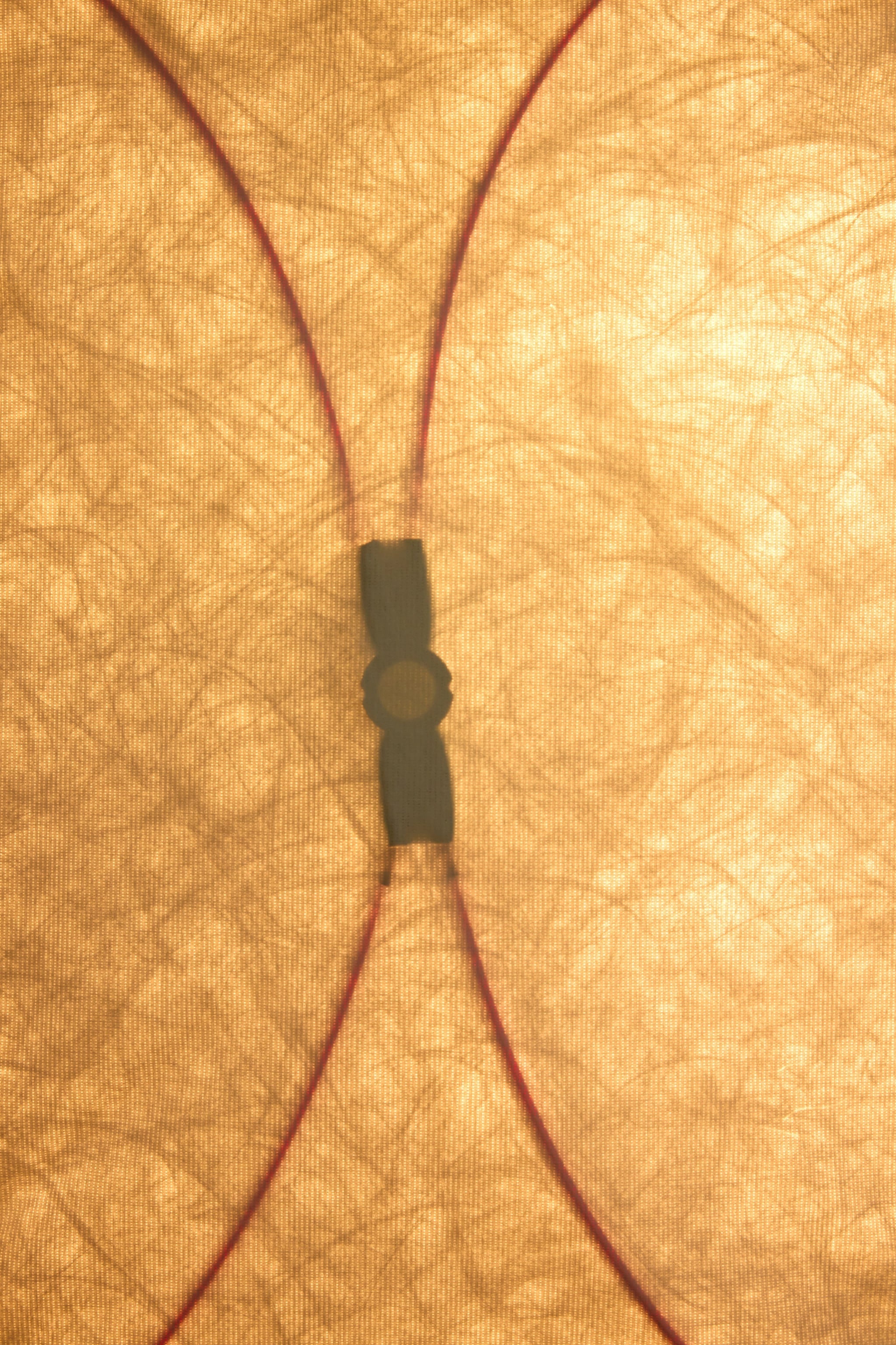 Ariette Wall or Ceiling Lamp