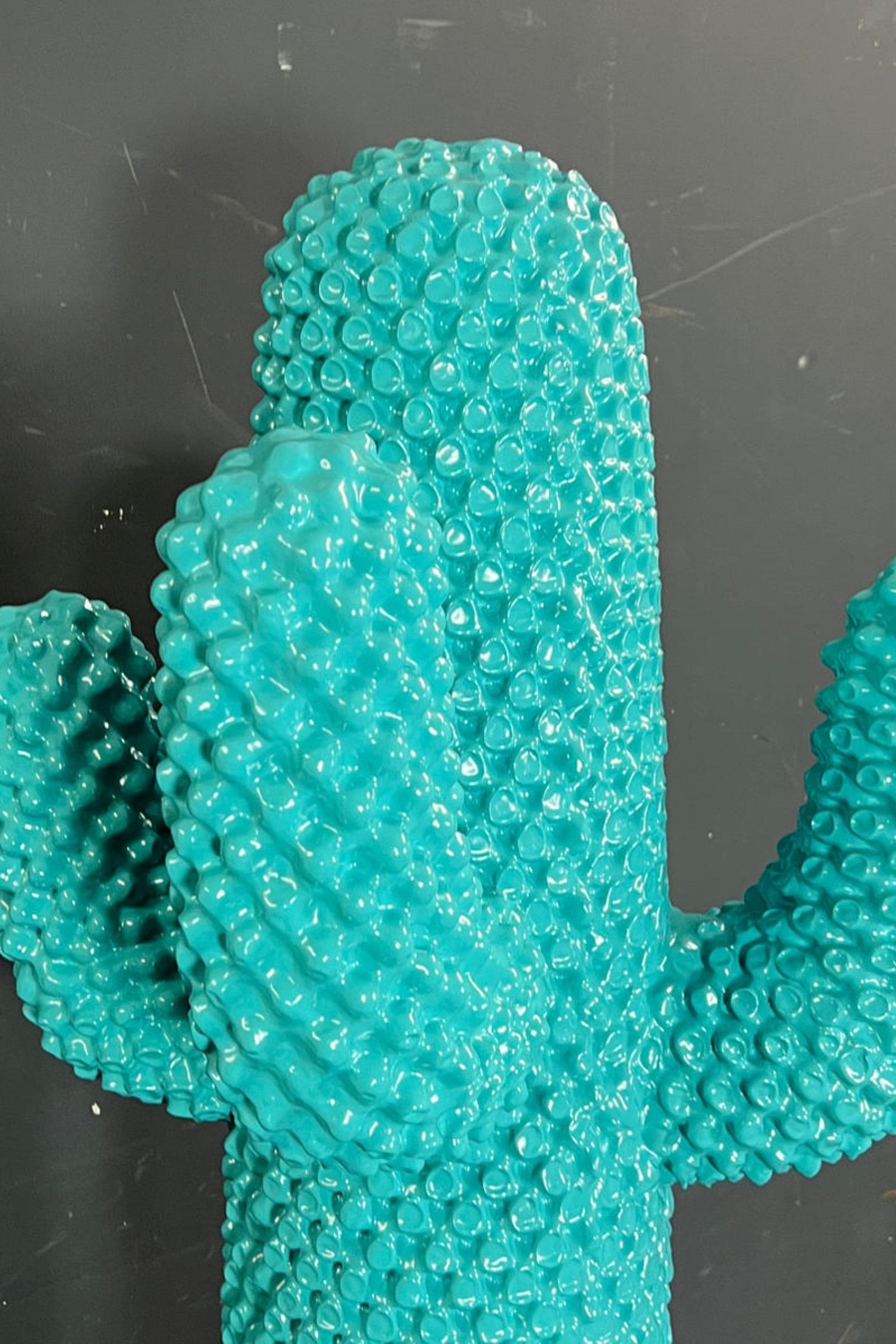 CACTUS®: The Invisible Spectrum