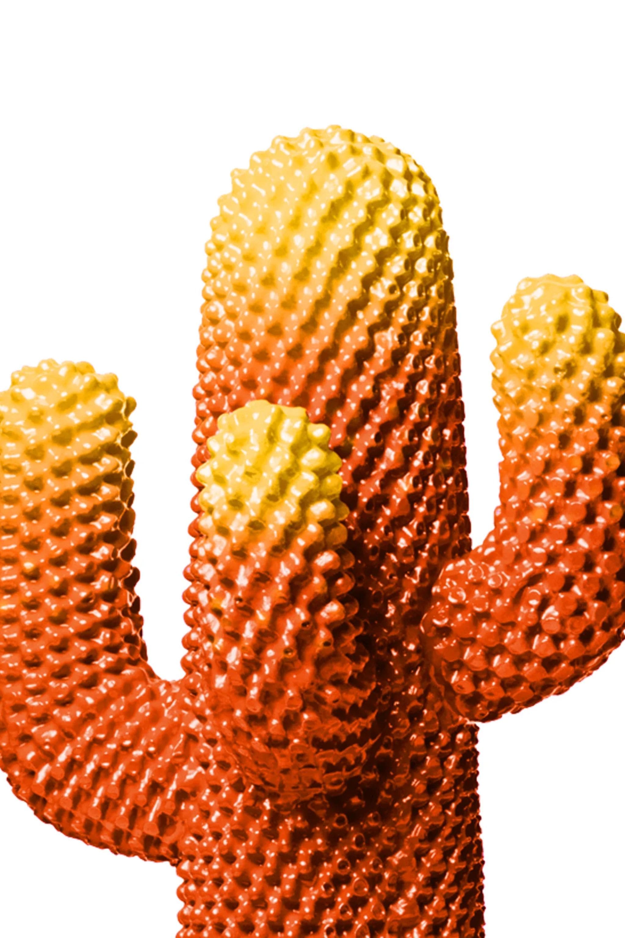 CACTUS®: The Invisible Spectrum