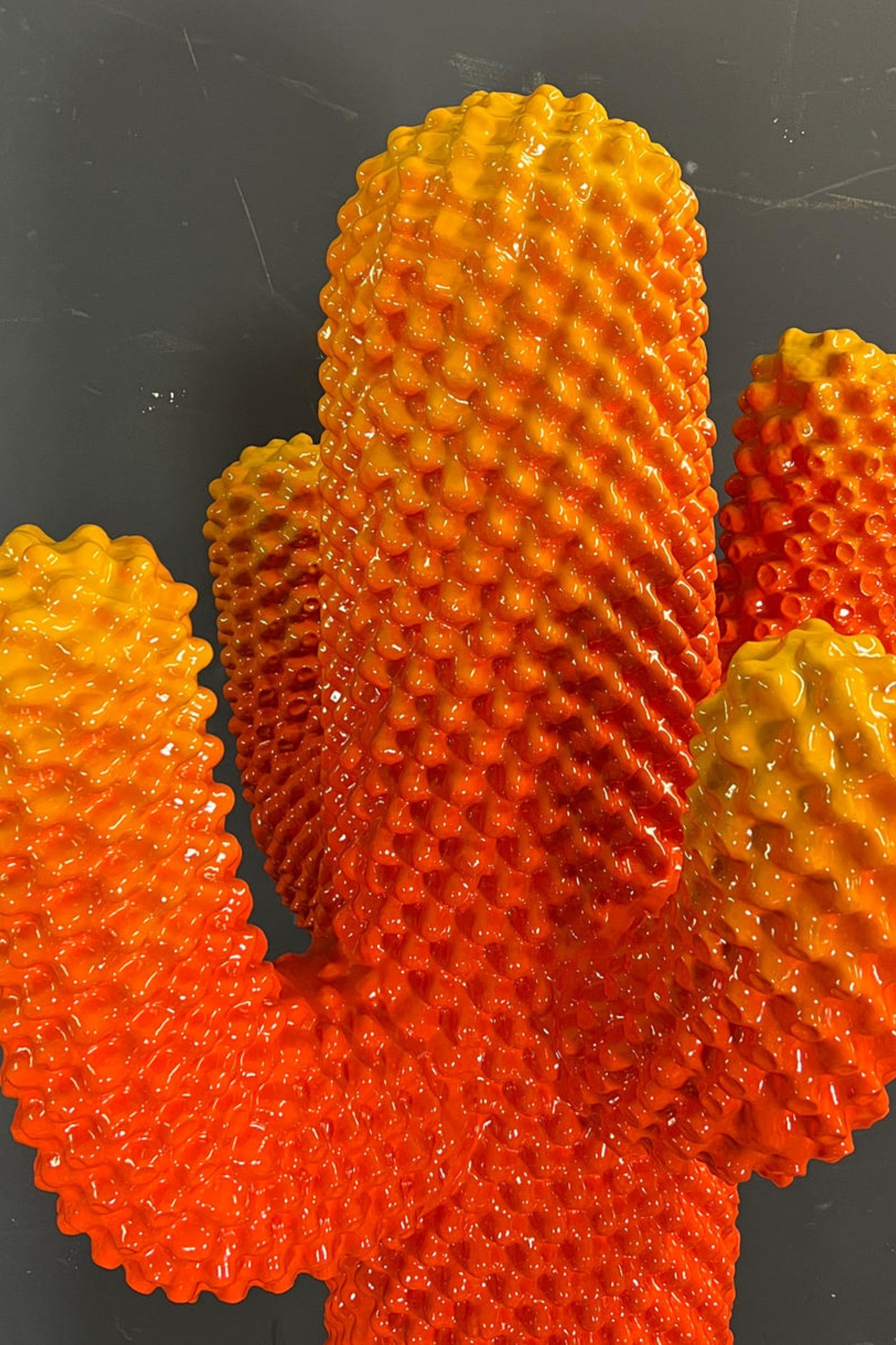 CACTUS®: The Invisible Spectrum