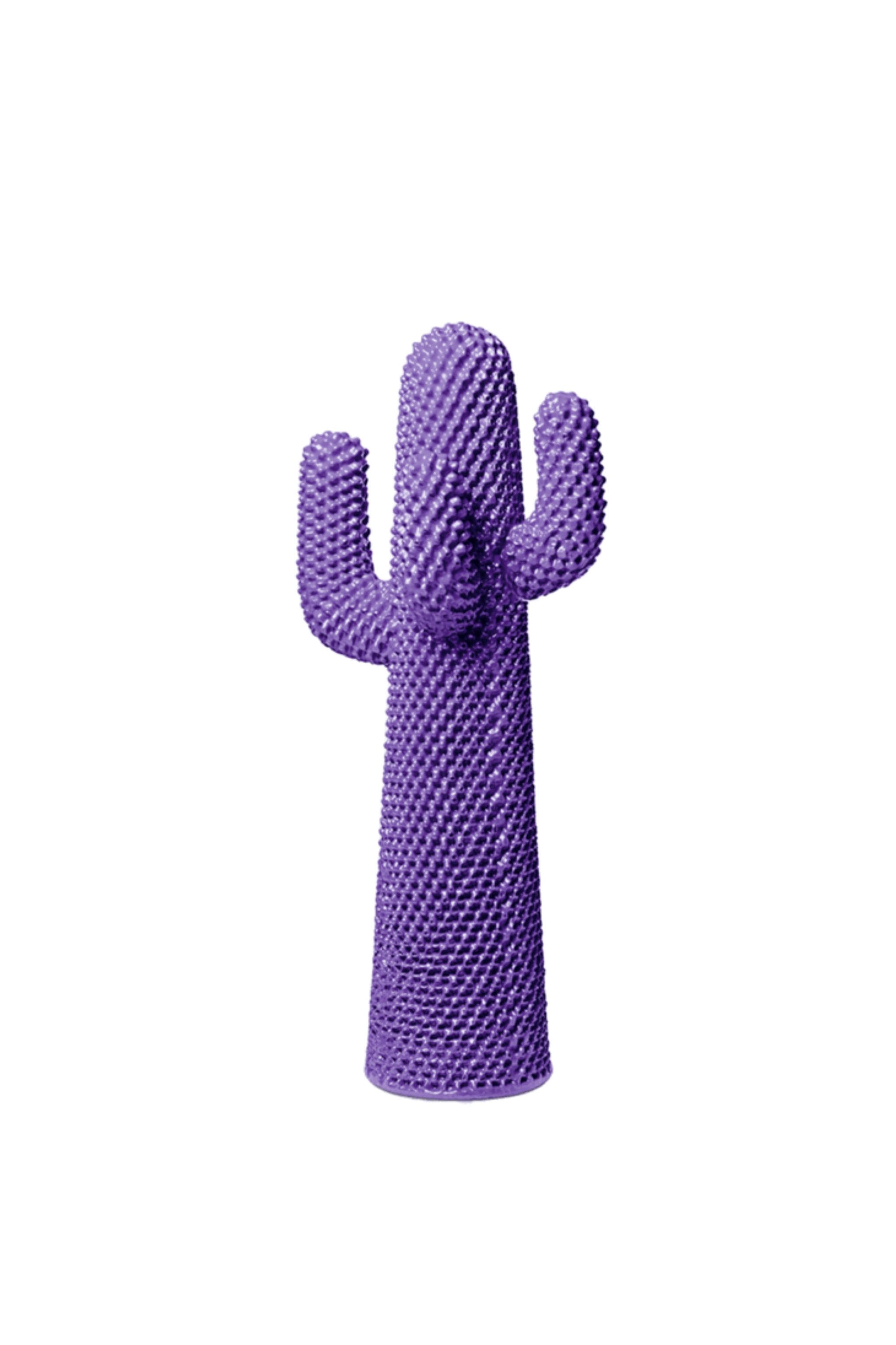 CACTUS®: The Invisible Spectrum