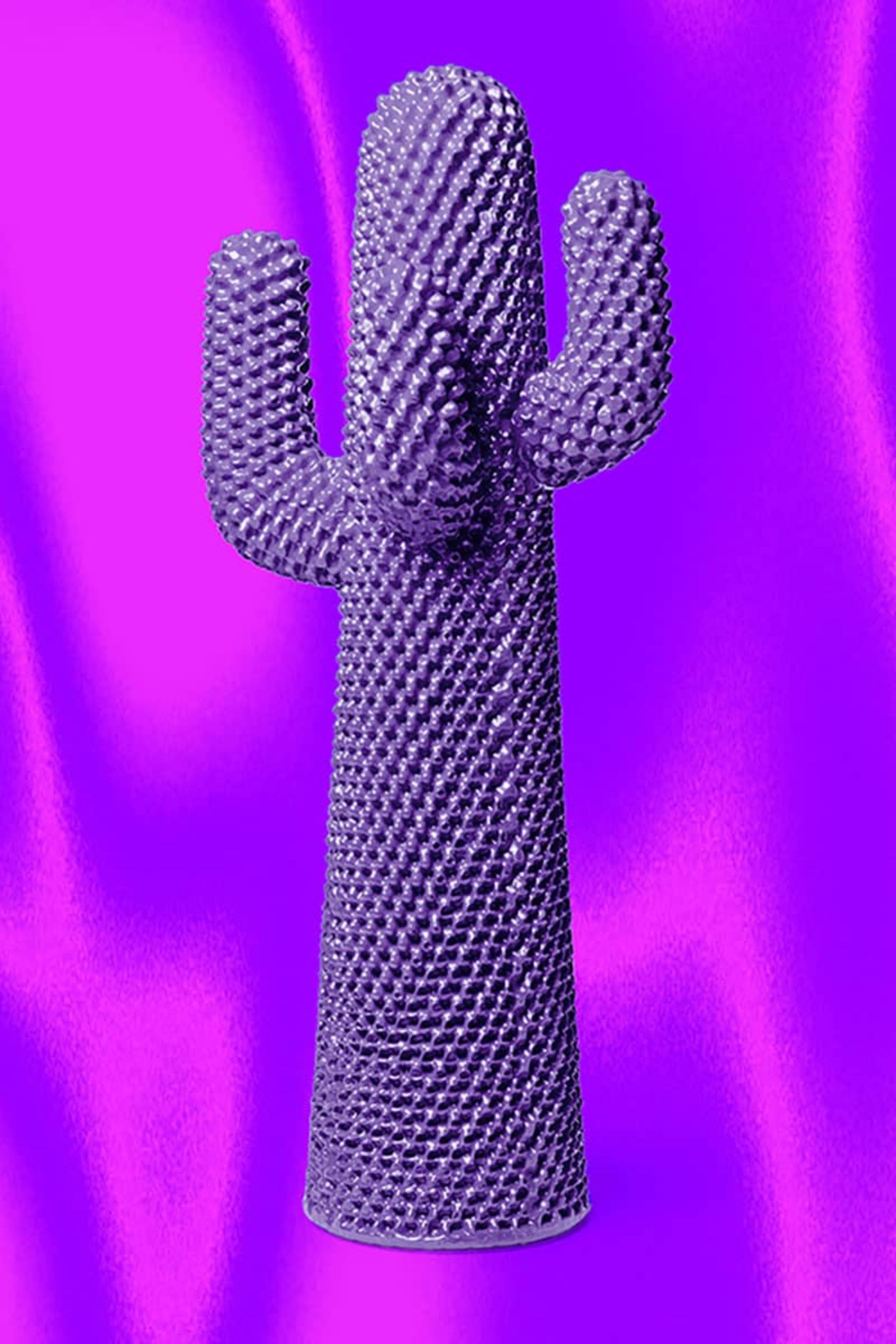 CACTUS®: The Invisible Spectrum